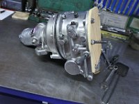 DSC 5937