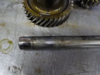 DSC 4087
