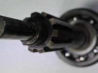 DSC 4143