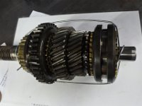 DSC 4155