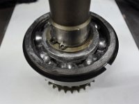 DSC 4165