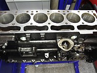 DSC 6135