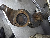DSC 6146