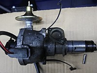 DSC 6181