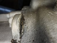 DSC 5929