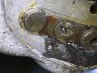 DSC 5944