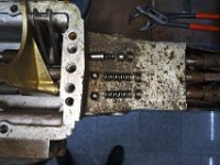 DSC 5973