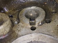 DSC 5983